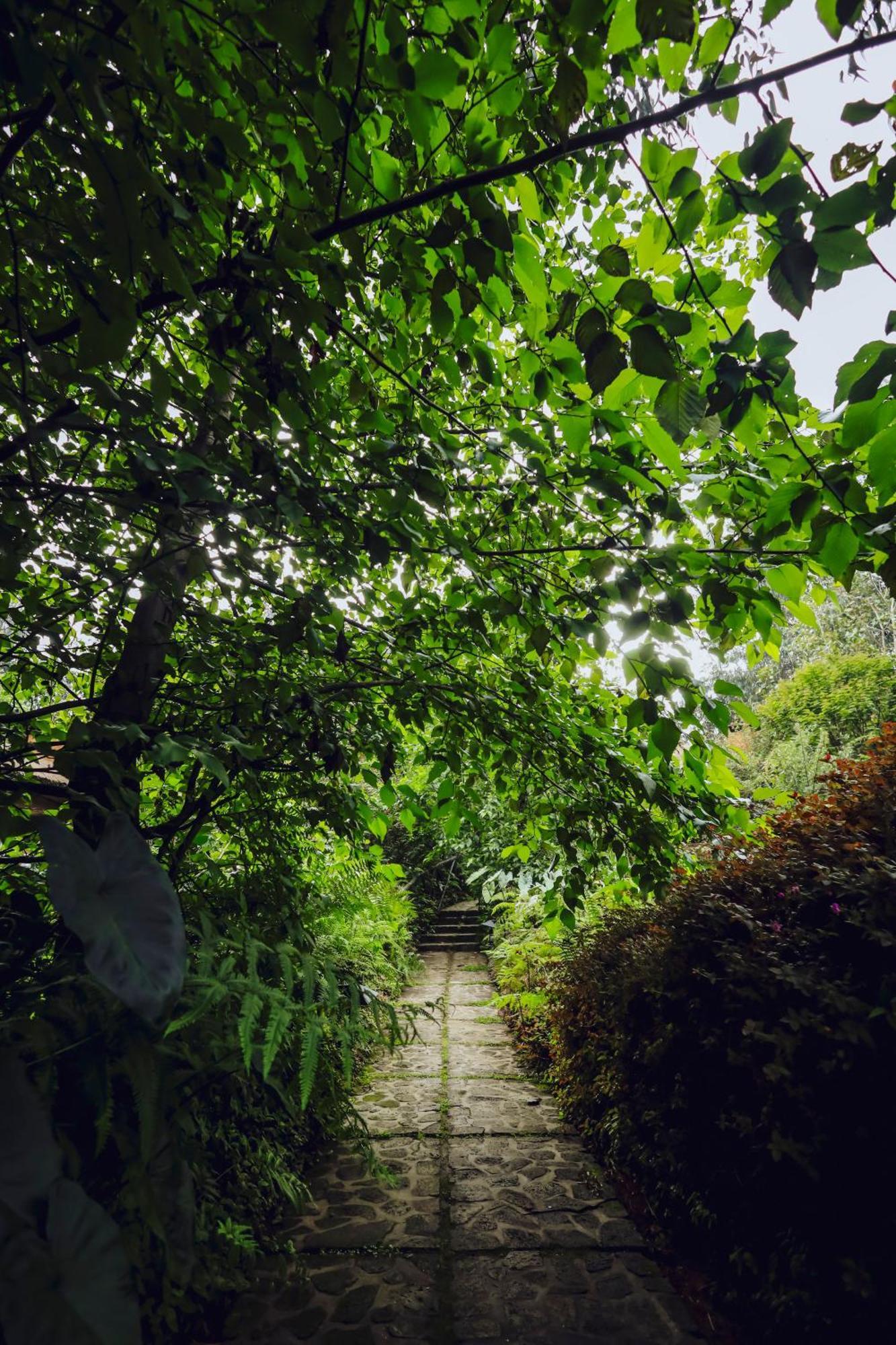 Vila Sambora Kinigi Exteriér fotografie