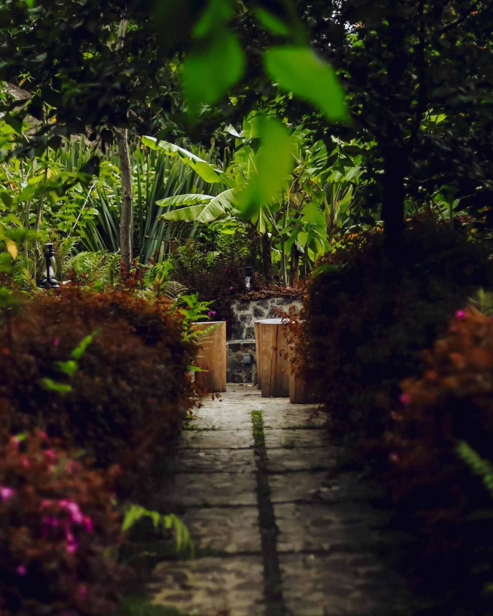 Vila Sambora Kinigi Exteriér fotografie